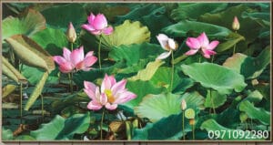 Tranh vẽ hoa sen yên bình tinh tế sang trọng