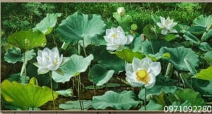 Tranh hoa sen trắng đẹp sơn dầu tả thực